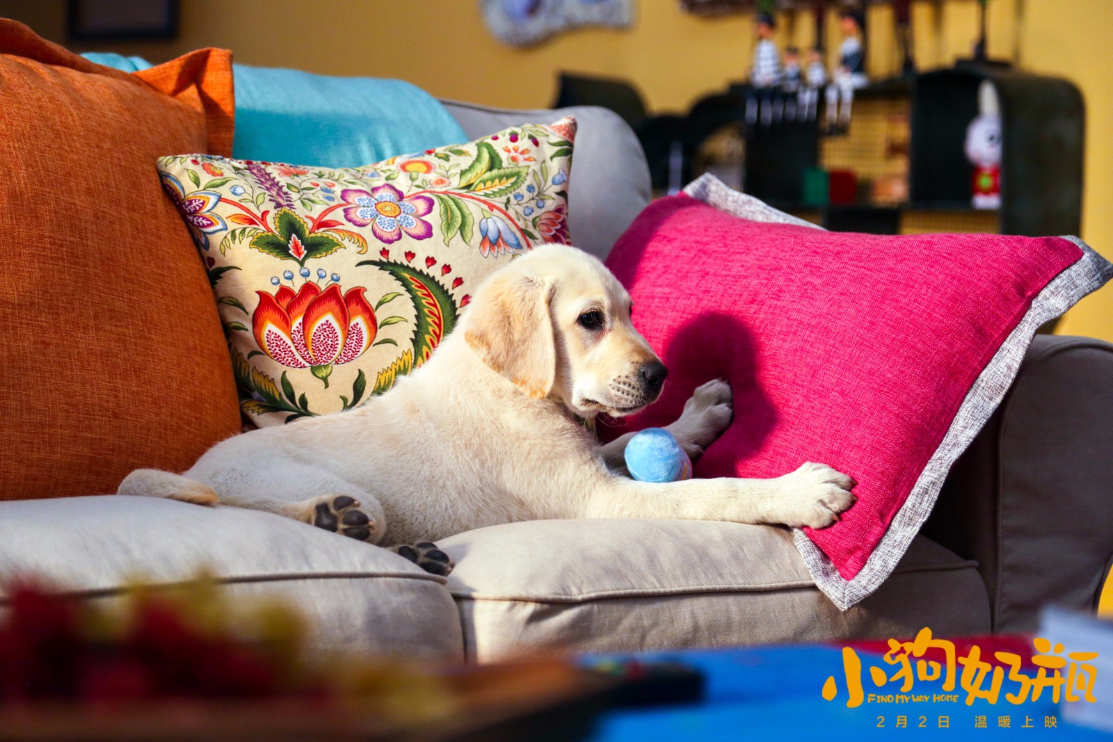 1516869366547431.jpg 奶瓶在沙發(fā)上呆著.jpg